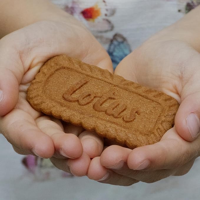 Biscof Premium Belgian Shortbread Cookies β Caramelized Cinnamon Flavor β Tea & Coffee Snack, Ice Cream Topping, Party Treat, Office Snack, Holiday Gift β 32 Packs (2 Cookies Each)