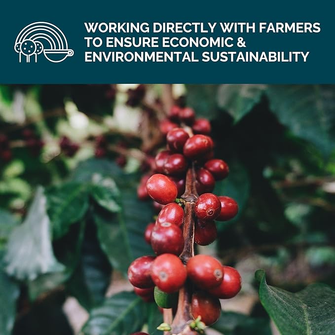 Stone Creek Coffee Dark Roast Ground Coffee – 12 Ounce (Pack of 1) – Smooth and Chocolatey Fresh Roasted Coffee Beans with Rich and Fruity Tasting Notes, 3 Volcanoes Dark Guatemala