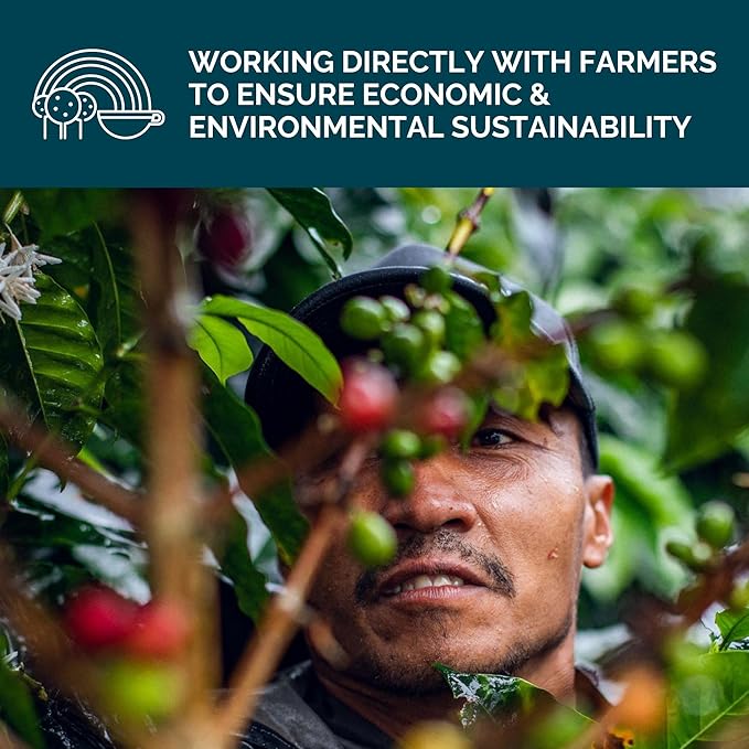 Stone Creek Coffee Medium Roast Ground Coffee – 12 Ounce (Pack of 1) – Specialty Smooth and Sweet Fresh Roasted Coffee Beans with Fruity/Chocolate Tasting Notes, Cream City