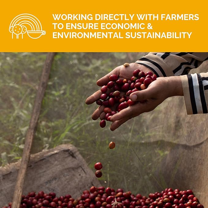 Stone Creek Coffee Light Roast Ground Coffee – 2 LB (Pack of 1) – Smooth Specialty Fresh Roasted Coffee Beans with Juicy and Citrus Tasting Notes, Boneshaker Colombia