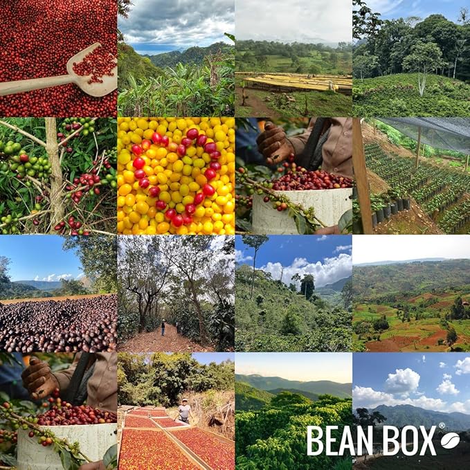 Bean Box Coffee Sampler - Explore Colombia, 2-Pack, Whole Bean, Gourmet Coffee