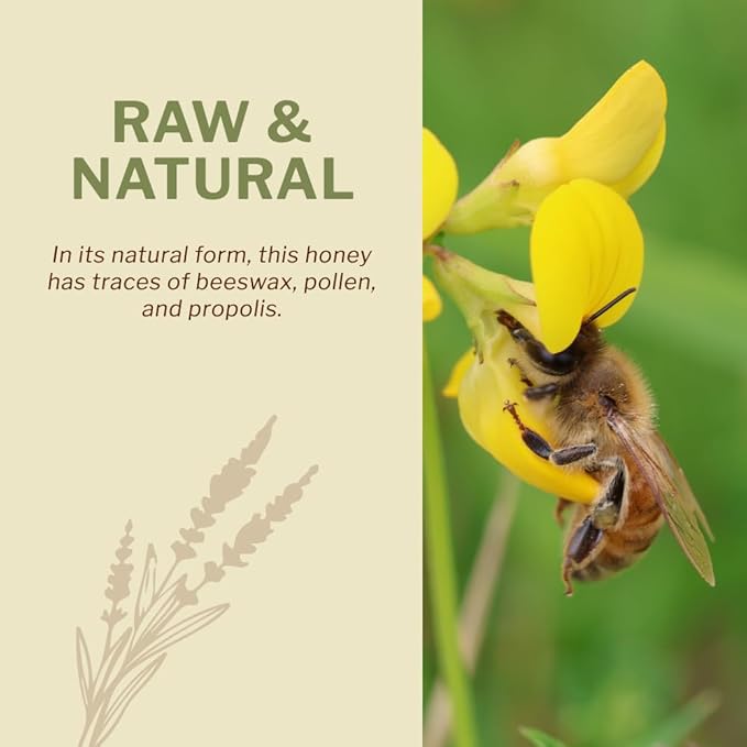Oneroot 100% Canadian Wildflower Honey - 1.1 lbs, Unheated & Creamed - Nutrient-Rich, Natural Sweetener with Enzymes - Thick & Pure Raw Unfiltered Honey