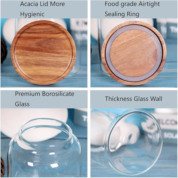 Large Glass Food Canisters, 93 FL OZ(2750ml) Kitchen Serving Stoarge Container with Airtight Wooden Lids, Cereal Dispenser Jars for Spaghetti Pasta, Powder, Spice, Tea, Coffee(8.8inch high)