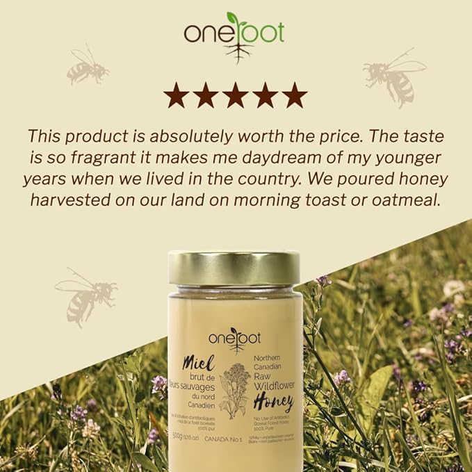 Oneroot 100% Canadian Wildflower Honey - 1.1 lbs, Unheated & Creamed - Nutrient-Rich, Natural Sweetener with Enzymes - Thick & Pure Raw Unfiltered Honey