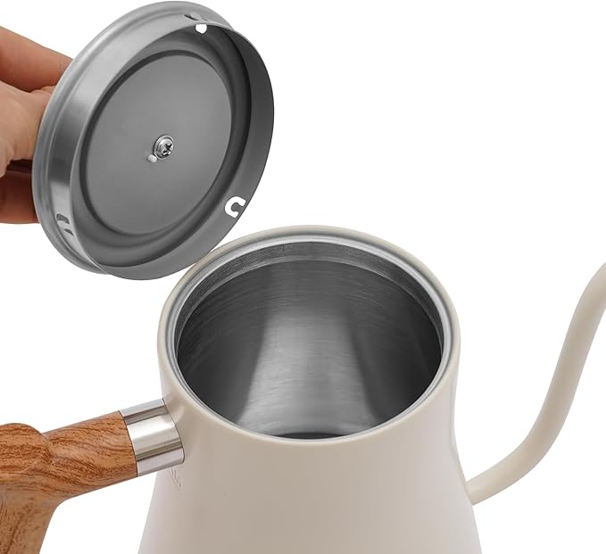 Electric Gooseneck Kettle (White)