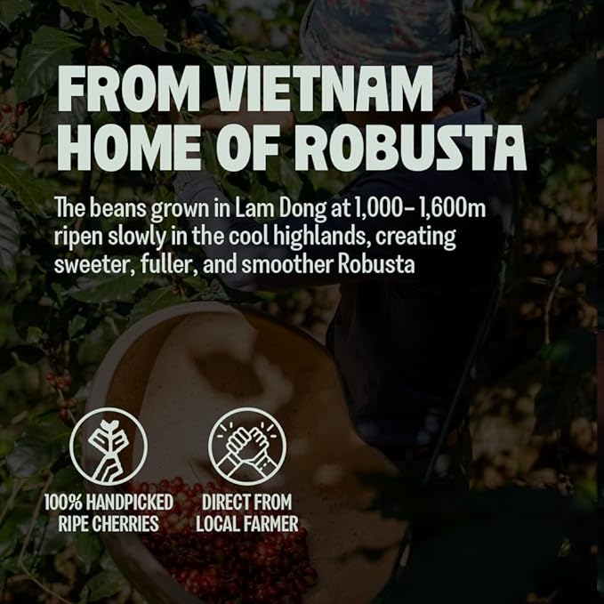 BAZAN COFFEE Too Strong Vietnamese Robusta Whole Bean Coffee - Dark Roast High Caffeine - Bold Espresso Flavor Low Acidity - 12oz Bag