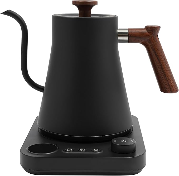 Electric Gooseneck Kettle (Black)