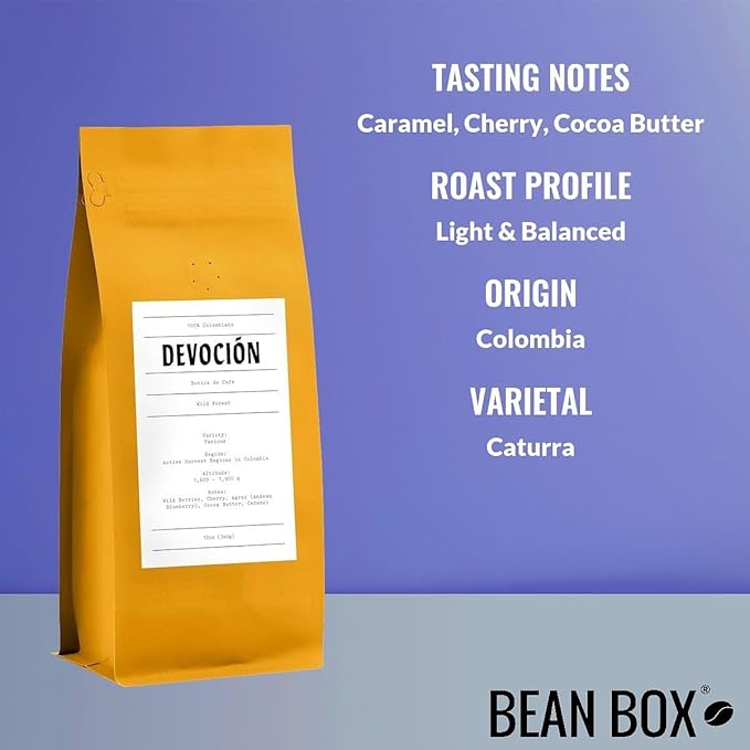 Wild Forest - Roasted by Devocion - Whole Bean Coffee - 5 Pound Bag