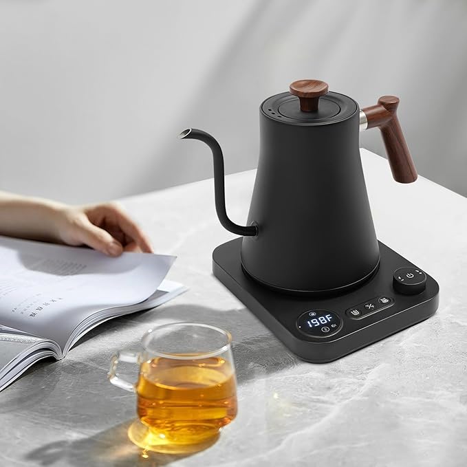 Electric Gooseneck Kettle (Black)