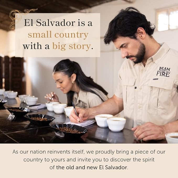 Bean of Fire El Salvador Red Bourbon Washed Ground Coffee – Medium Roast, Single Origin Specialty, Smooth & Fruity Cup (16 oz)