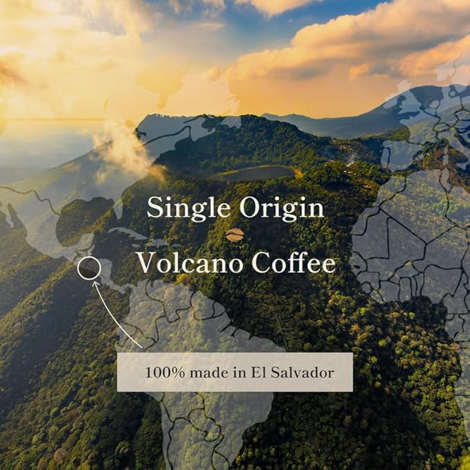 Bean of Fire El Salvador Red Bourbon Washed Ground Coffee – Medium Roast, Single Origin Specialty, Smooth & Fruity Cup (16 oz)