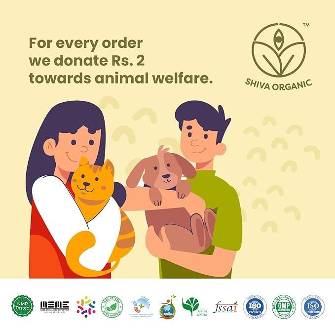 Shiva Organic Ginger Infused Honey - 100% Natural and Pure Organic Honey - GMP Certified-1.76 Ounces (50g)