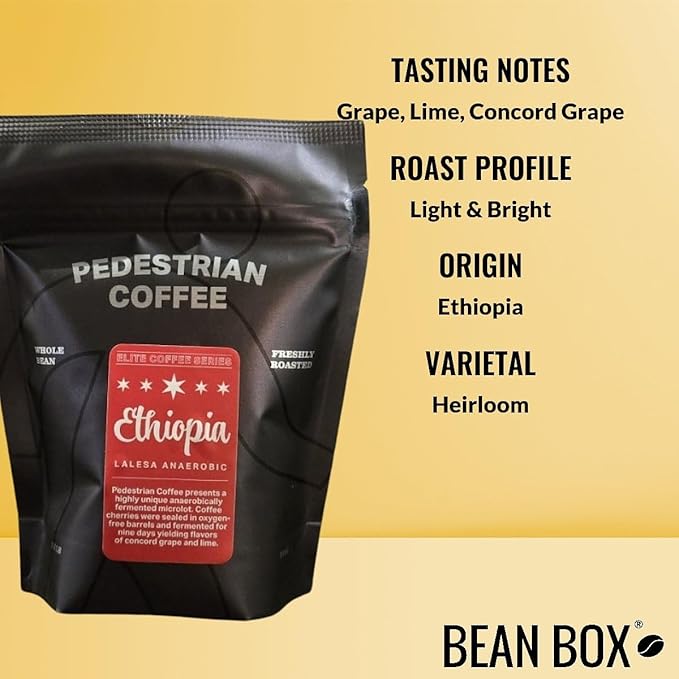 Bean Box Chicago Coffee Sampler, 2-Pack - Roasted by Pedestrian, Gourmet Arabica Coffee, Variety Pack - Whole Bean