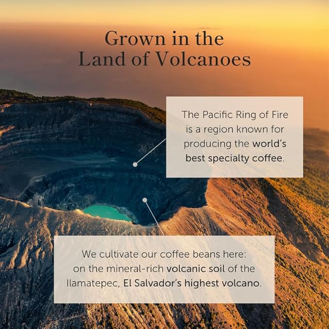 Bean of Fire El Salvador Red Bourbon Natural Ground Coffee – Medium Roast, Single Origin Specialty, Smooth & Fruity Cup (16 oz)