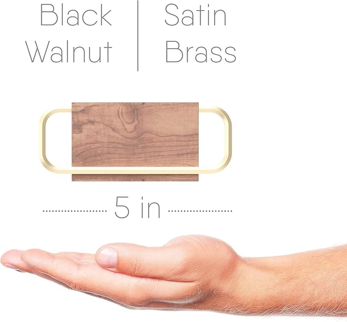 Cone Coffee Filter Holder ARGENTA – Wall Mount Coffee Filter Storage Container with Magnetic and Adhesive Mounting, Compatible with Hario, V60, Melitta, Chemex Coffee Filters (Standard)