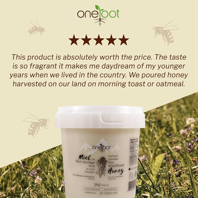 Oneroot 100% Canadian Wildflower Honey - 6.6 lbs, Unheated & Creamed - Nutrient-Rich, Natural Sweetener with Enzymes - Thick & Pure Raw Unfiltered Honey