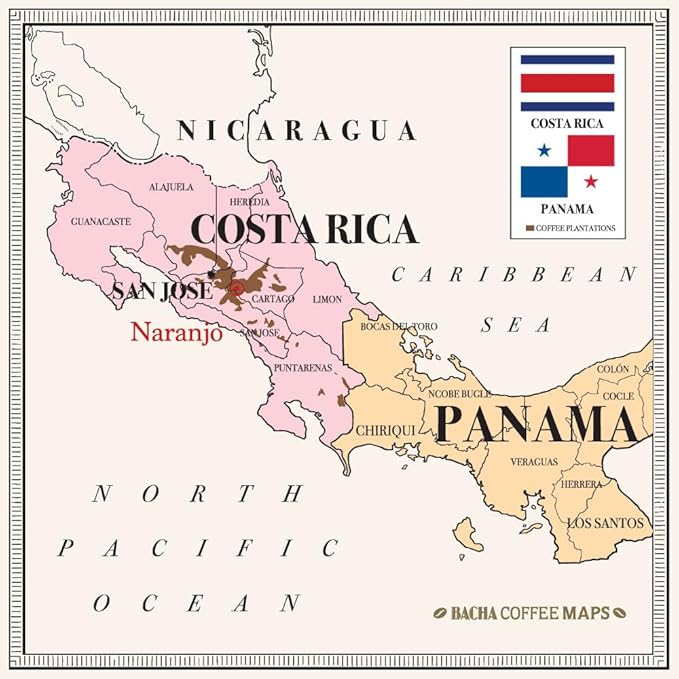 Bacha Coffee | Naranjo Mountain Costa Rica Single Origin, 100% Arabica Specialty Coffee Beans, Medium Dark Roast, x12 Individually Wrapped Single Serve Filter Bags