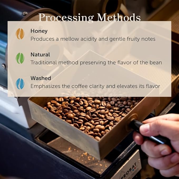 Bean of Fire | Ethiopian | Coffee Washed | 16 oz | Chocolate | Citrus Notes | Sugar Cane & Black Grapes | Floral Complexity | Ground Coffee