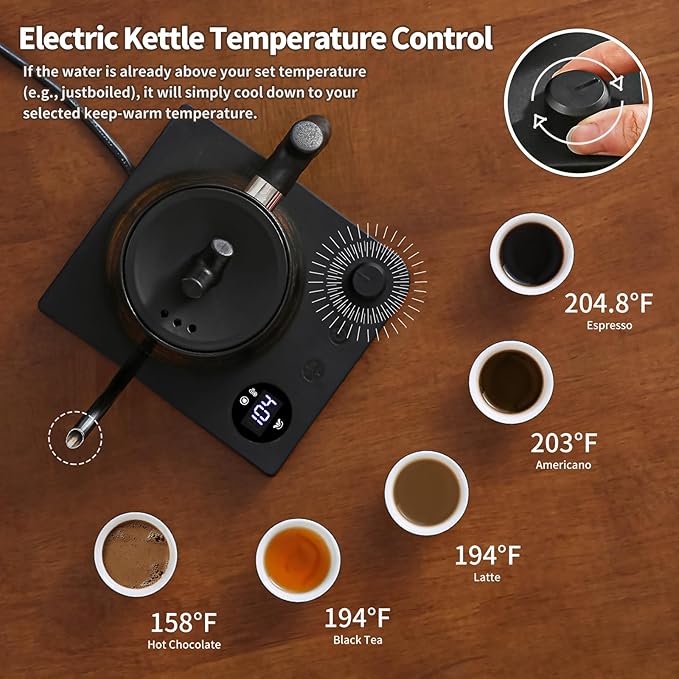 Water Kettle Electric,Gooseneck Electric Kettle with 50pcs Coffee Filter,±1℉ Temperature Control, Fast Heating, Stainless Steel Interior, Ideal for Precise Pour-Over Coffee and Tea