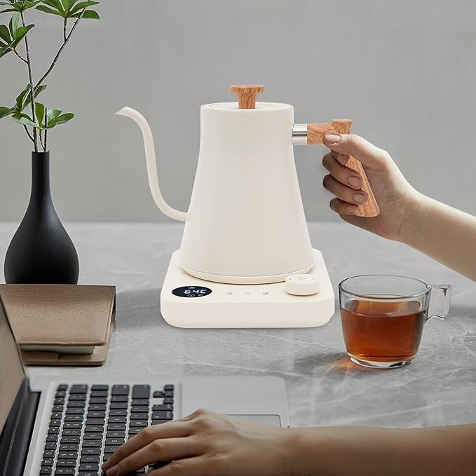 Electric Gooseneck Kettle (White)