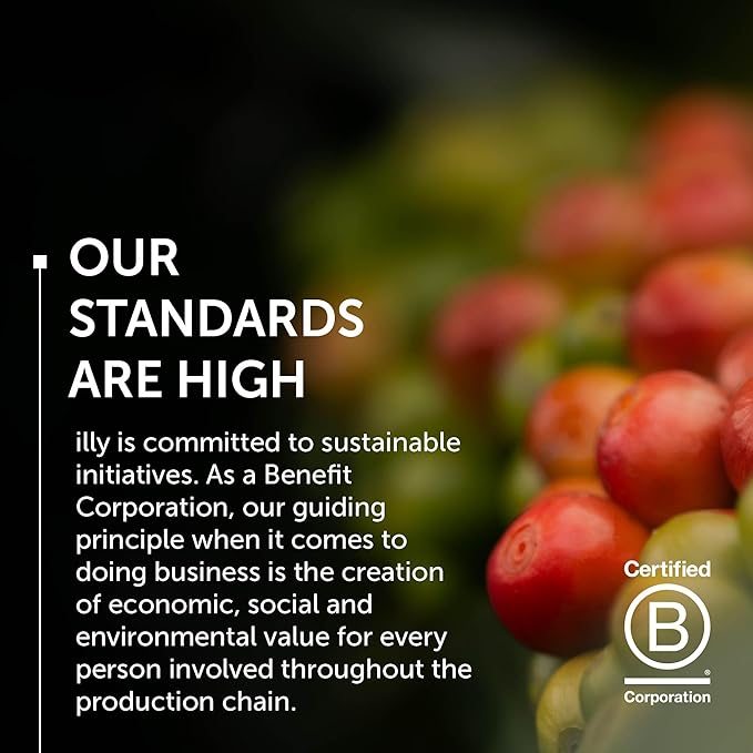 illy Arabica Selections, Ethiopia Whole Bean Coffee, 100% Arabica, Single Origin, Light Roast with Notes of Jasmine, All-Natural, No Preservatives, 8.8 Ounce Can (Pack of 6)