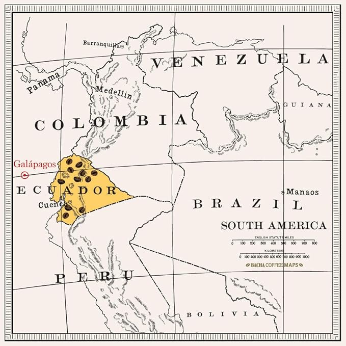 Bacha Coffee | San Cristóbal Ecuador Single Origin, 100% Arabica Specialty Coffee Beans, Medium Dark Roast, x12 Individually Wrapped Single Serve Filter Bags