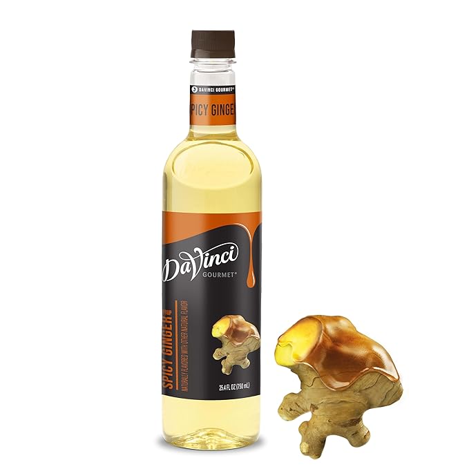 DaVinci Gourmet Spicy Ginger Syrup, 25.4 Fluid Ounces (Pack of 1)