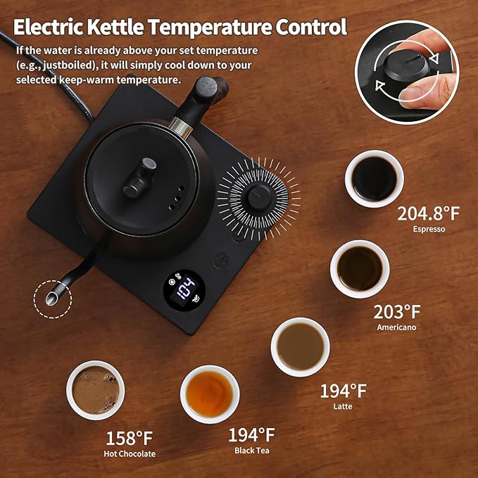 Water Kettle Electric,Gooseneck Electric Kettle with 50pcs Coffee Filter,±1℉ Temperature Control, Fast Heating, Stainless Steel Interior, Ideal for Precise Pour-Over Coffee and Tea