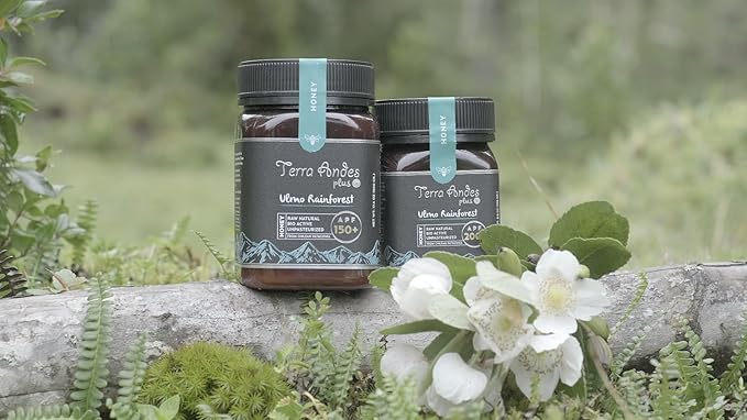 Ulmo Rainforest Raw Honey by TERRA ANDES PLUS | APF 150+ Pure Honey, 8.8 oz