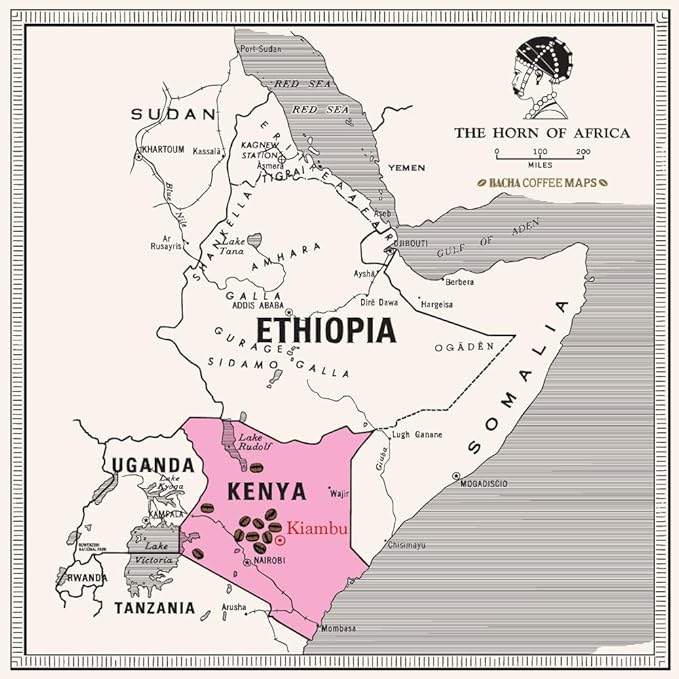 Bacha Coffee | Mount Kenya Single Origin, 100% Arabica Specialty Coffee Beans, Medium Dark Roast, x12 Individually Wrapped Single Serve Filter Bags