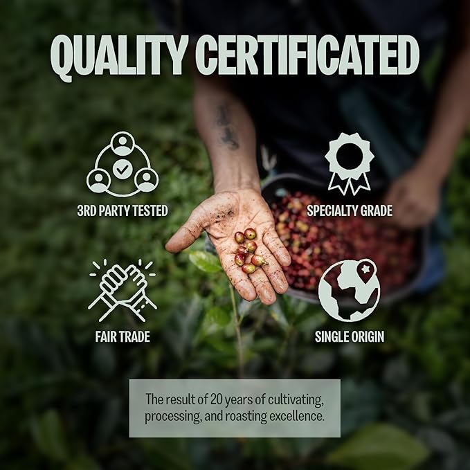 BAZAN COFFEE – Vietnamese Fine Robusta, Premium Medium Roast Whole Bean, Single Origin Specialty Coffee, 100% Natural, Anaerobic Fermented, Tropical Flavor Notes of Durian, Honey & Caramel, 12oz Bag