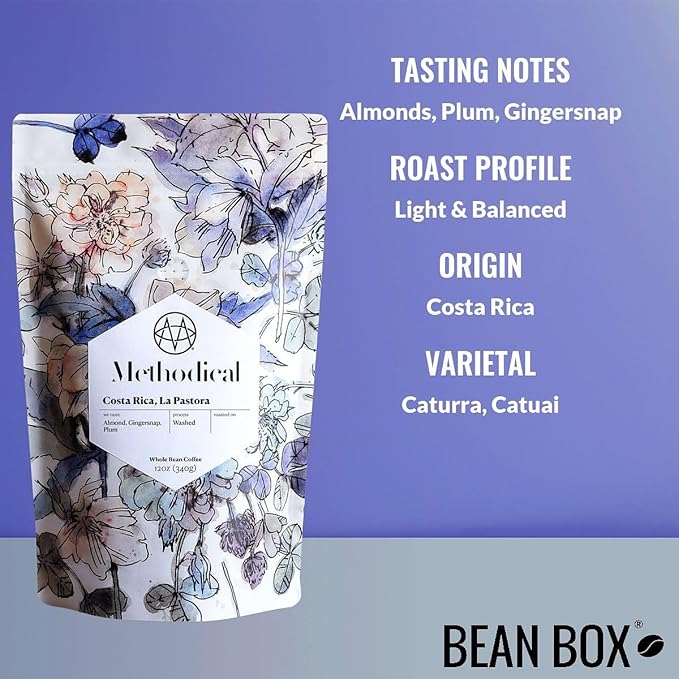 Costa Rica La Pastora - Roasted by Methodical Roasting - Whole Bean Coffee - 2 Pound Bag