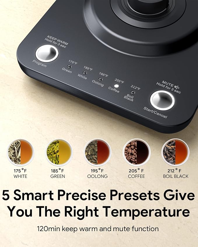 Gooseneck Electric Tea Kettle Pour-Over Kettle for Coffee, with 5 Variable Presets, 100% Stainless Steel Inner, with Keep Warm and Mute Function 0.8L, 1000W Quick Heating, Matte Black