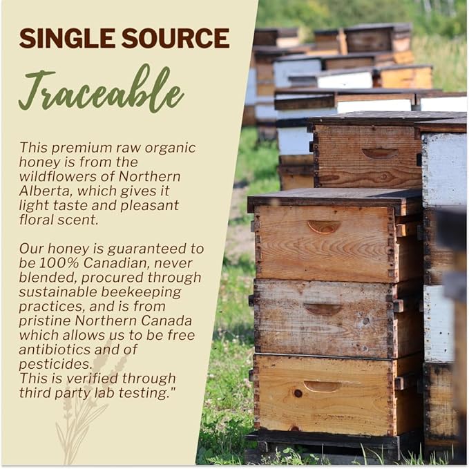 Oneroot 100% Organic Canadian Wildflower Honey - 17.6 Oz/1.1 Lbs, Unheated & Creamed - Nutrient-Rich, Natural Sweetener with Enzymes - Thick & Pure Raw Unfiltered Honey
