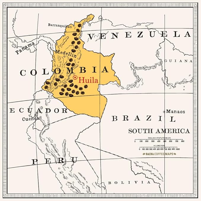 Bacha Coffee | Magdalena Decaf Colombia Single Origin, 100% Arabica Specialty Coffee Beans, Medium Dark Roast, x12 Individually Wrapped Single Serve Filter Bags