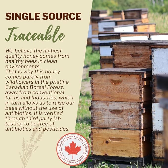 Oneroot 100% Canadian Wildflower Honey - 1.1 lbs, Unheated & Creamed - Nutrient-Rich, Natural Sweetener with Enzymes - Thick & Pure Raw Unfiltered Honey