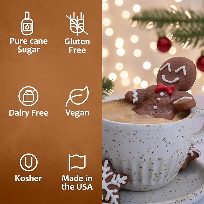 Syruvia Gingerbread Syrup for Coffee, Flavored Syrup for Drinks, Lattes, and Desserts – 25.4 fl oz, With Pump