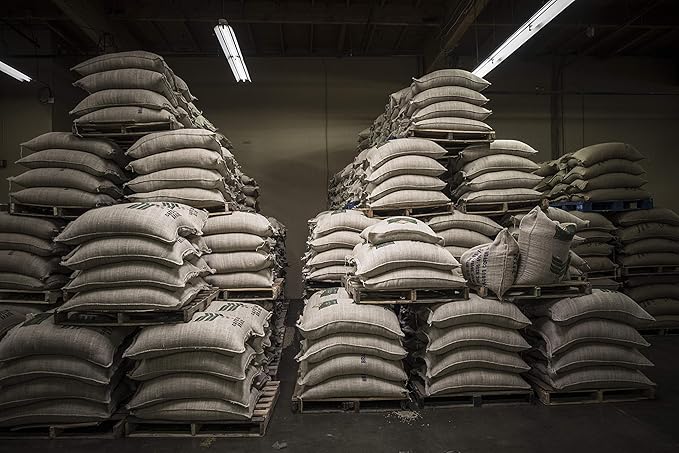 Caffe D'arte Abruzzo Ground Coffee, Medium Roast, Earthy & Winey Notes, Crafted for Drip, 1 Pound Bag, Pack of 2 – Fresh Roasted in Seattle