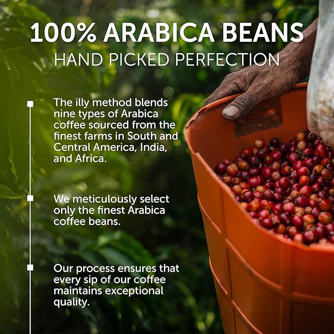 illy Arabica Selections, Ethiopia Whole Bean Coffee, 100% Arabica, Single Origin, Light Roast with Notes of Jasmine, All-Natural, No Preservatives, 8.8 Ounce Can (Pack of 6)