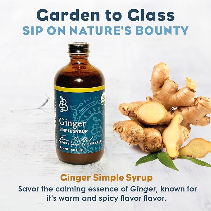 Bluestem Botanicals Organic Ginger Simple Syrup, 8 oz, Cocktail and Mocktail Mixer for Drinks, Non-Alcoholic