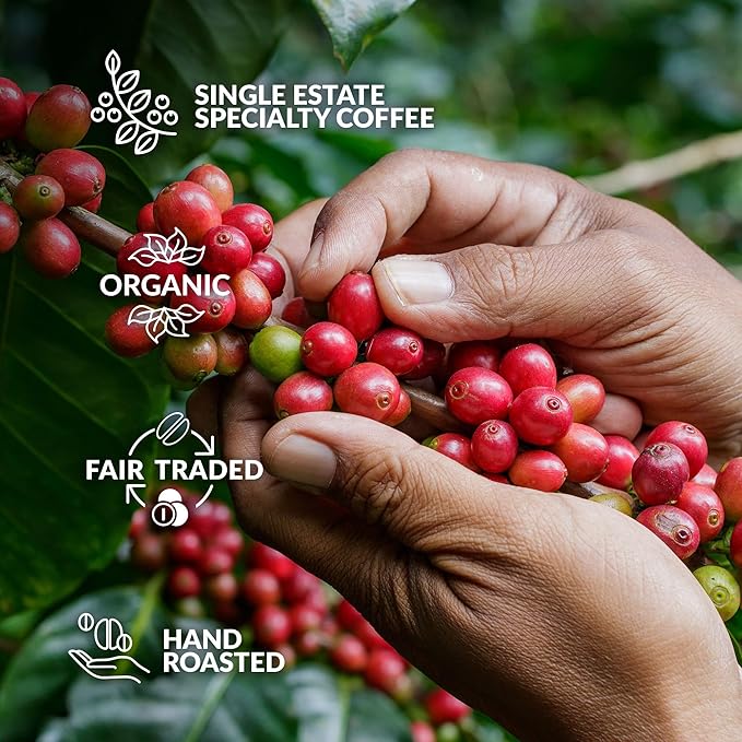 Christmas Coffee Gifts for Men & Women - 14 of the World's Finest Single Estate Specialty Coffees in Sampler Box for Coffee Lovers | Perfect Secret Santa Gift Set Idea with Unique Coffeebrewers