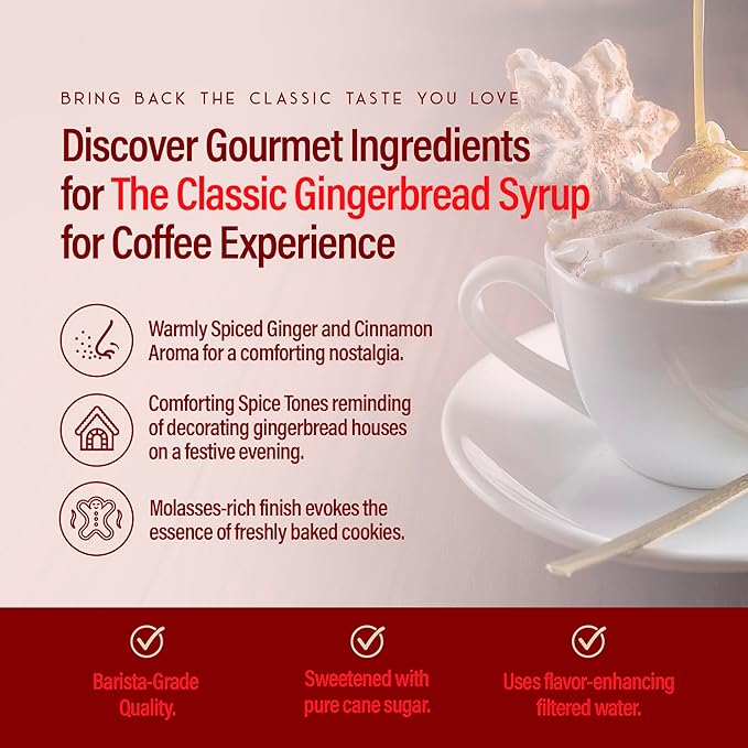 RIO Gingerbread Flavoring Coffee Syrup for Hot or Iced Drinks and Desserts, Spiced and Warming Coffee Syrup Flavoring Sweetened with Pure Cane Sugar, Barista-Grade  Flavor Syrups For Drinks at Home & Work - 700ml