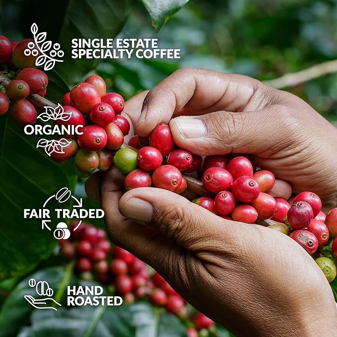 Original Gourmet Coffee Gift Set for Men & Women - 14 World's Finest Single Origin Specialty & Organic Coffees in Innovative Brewers | Sampler Box for Coffee Lover to Brew & Enjoy Anytime, Anywhere