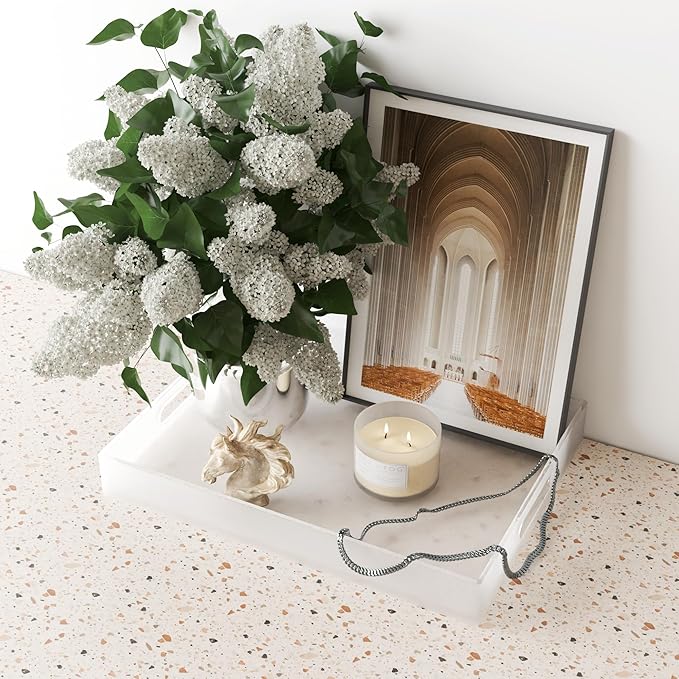 16"x12" Large Acrylic Serving Tray Decorative Ottoman Coffee Table Vanity Tray Tea Fruit Platter Snack Appetizer Dessert Drink with Handles for Bar Kitchen Party, Frosted