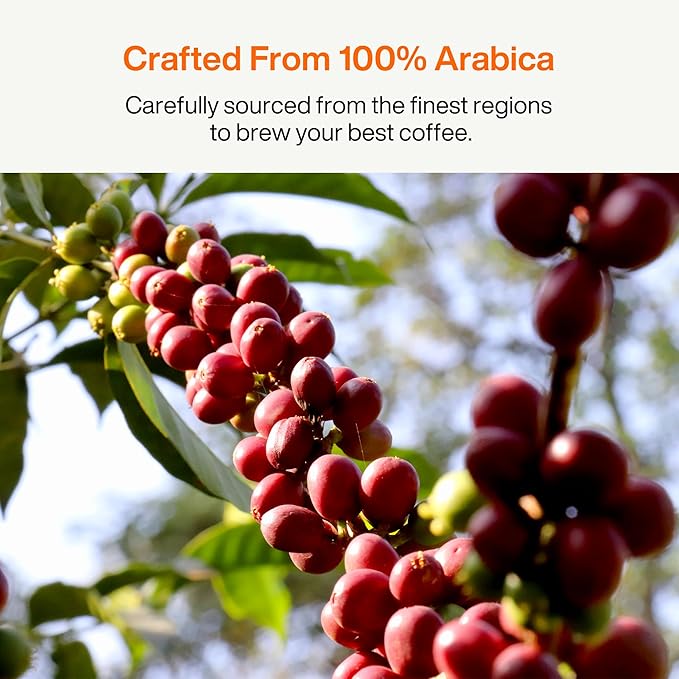 SATURNBIRD Coffee Instant Cold Brew, Medium Roast, Smooth & Clean Blend of 100% Specialty Arabica, Enjoy Hot or Cold, Freeze Dried Iced Coffee, 24 Single Servings for Home, Travel, Office (NO.3)