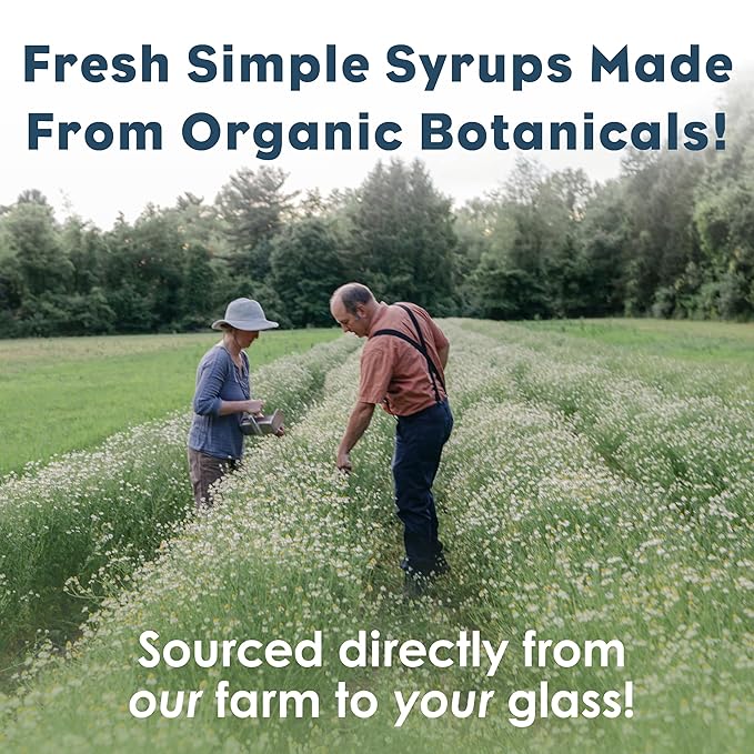 Bluestem Botanicals Organic Spicy Tumeric Simple Syrup, 8 oz, Cocktail and Mocktail Mixer for Drinks, Non-Alcoholic