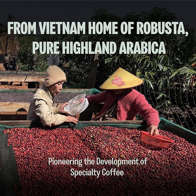 BAZAN COFFEE – Special Vietnamese Blend, Robusta & Arabica, Medium Roast Ground Coffee, Fruity Floral & Caramel Notes, Low Acidity, Perfect with Milk or Phin Filter, 12oz Bag
