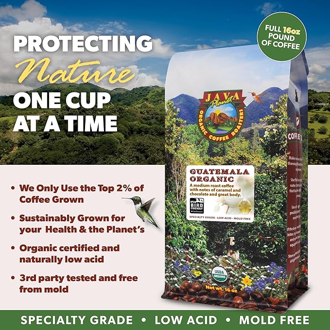 Low Acid Organic Coffee – Whole Bean, Mold-Free & Stomach Friendly by Java Planet, Guatemalan Single Origin Coffee, Medium Roast, Smooth Full Flavored, 2x1LB Bag