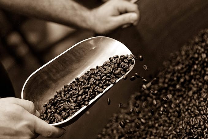 Caffe D'arte Meaning of Life Ground Coffee – Medium Dark Roast, Rich & Well-Balanced Flavor with Great Aroma, Crafted for Drip Brewing, Fresh Roasted in Seattle - 5 Pounds