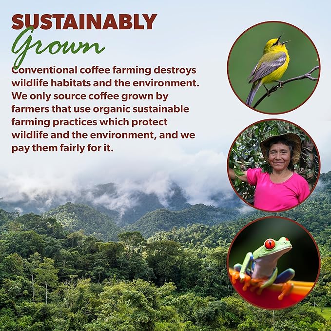 Low Acid Organic Coffee – Whole Bean, Mold-Free & Stomach Friendly by Java Planet, Costa Rican Single Origin Coffee, Dark Roast, Smooth Full Flavored, 5LB Bag